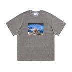 Koth Bsr Animals Sst Pigment Grey