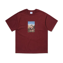 Koth Boxing Rb Sst Burgundy