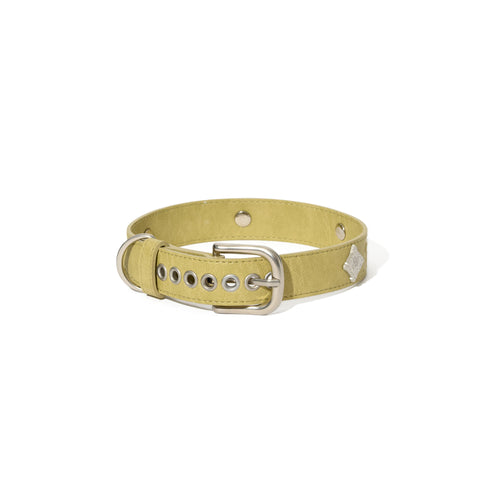 Signature Rivet Vegan Leather Dog Collar Olive