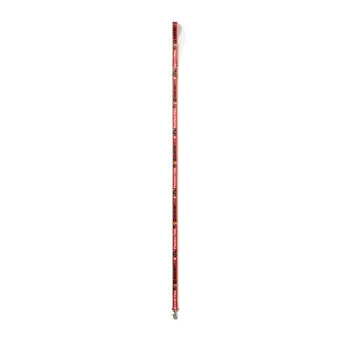 Pawfect Pals Print Webbing Leash Red