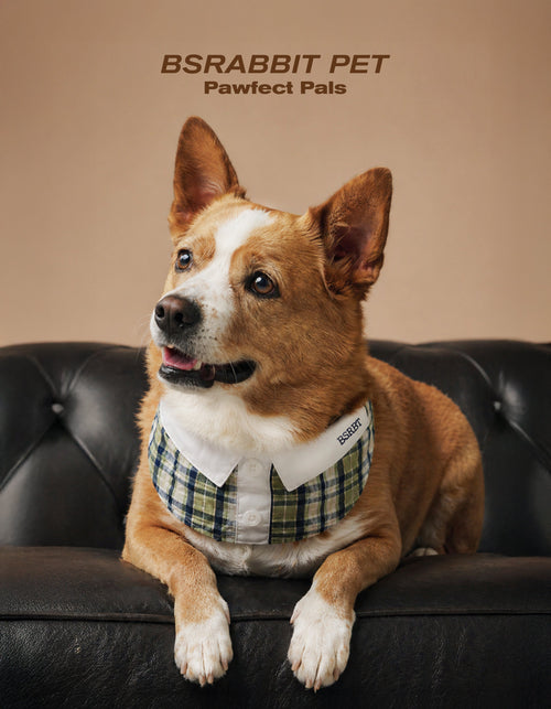 PAWFECT PALS | 26SS BSRABBIT PET COLLECTION LOOKBOOK