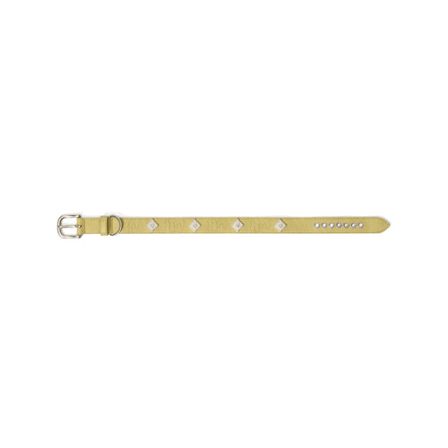 Signature Rivet Vegan Leather Dog Collar Olive