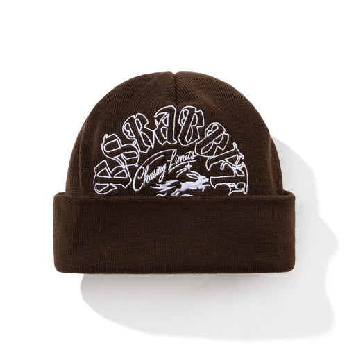 Br Double Sided Artwork Beanie Dark Brown