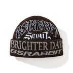 Brighter Days Beanie Brown