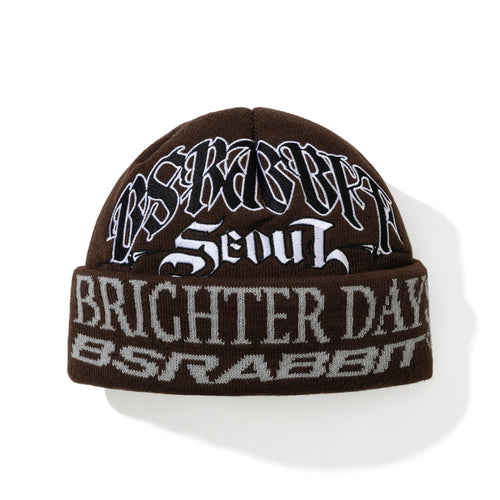 Brighter Days Beanie Brown