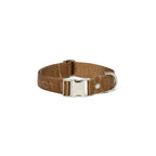 Pawfect Pals Logo Webbing Collar Gold