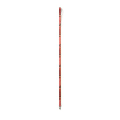 Pawfect Pals Print Webbing Leash Red