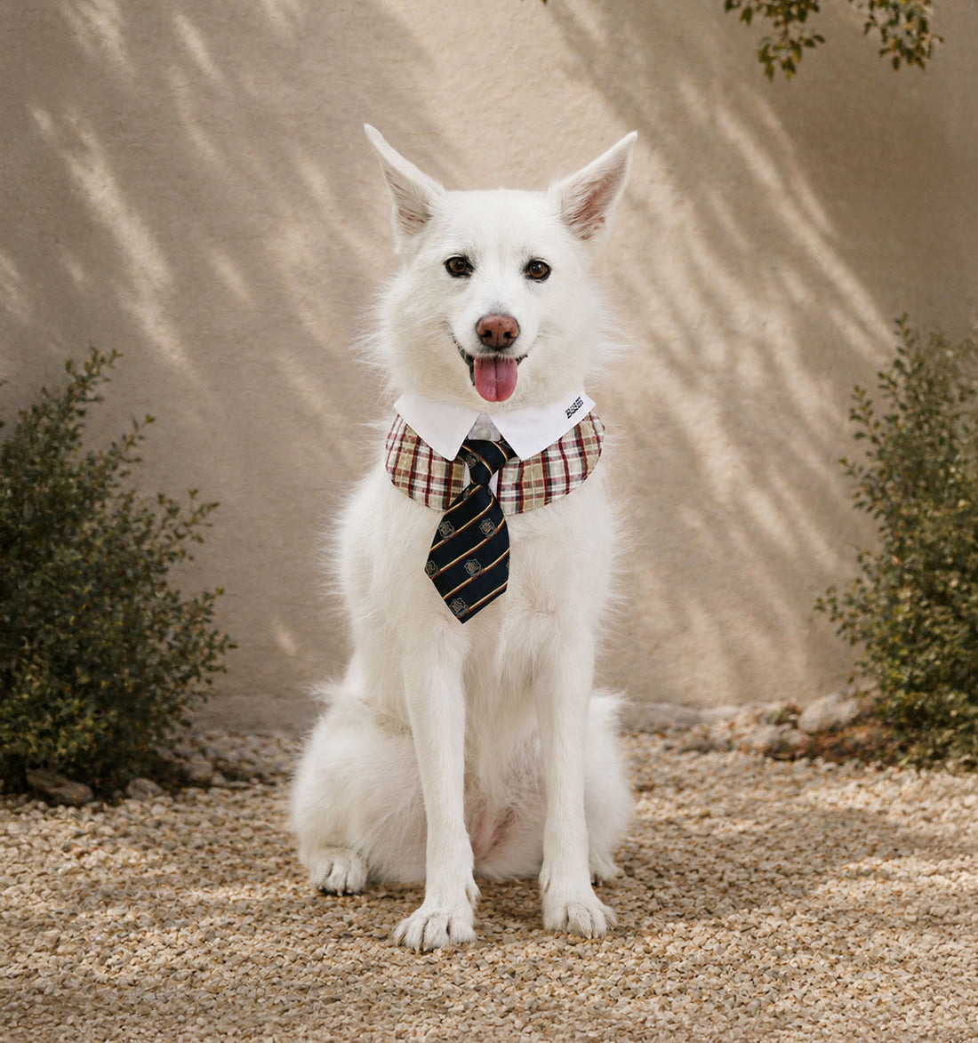 HYUJI IN TIE