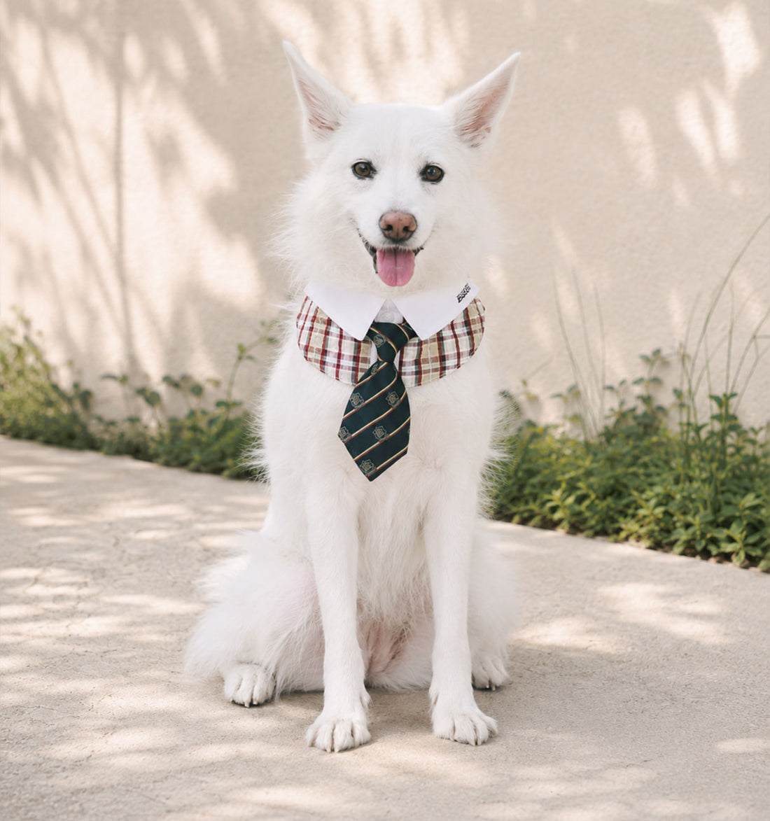 HYUJI IN TIE