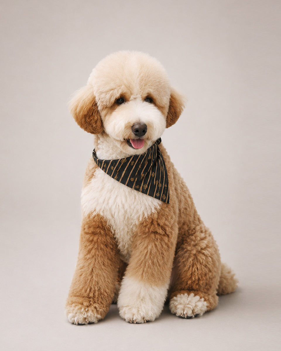 Pet Neck Scarf