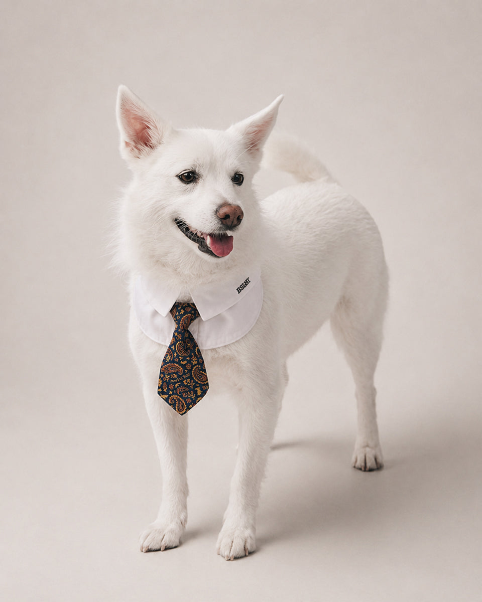 Pet Short Tie
