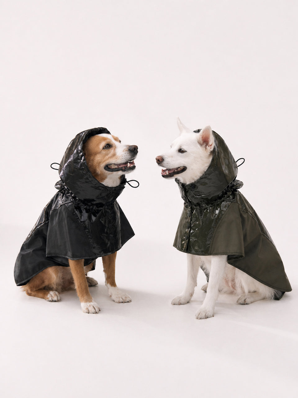Gloss Panel Pet Rain Coat Black product detail image 01.