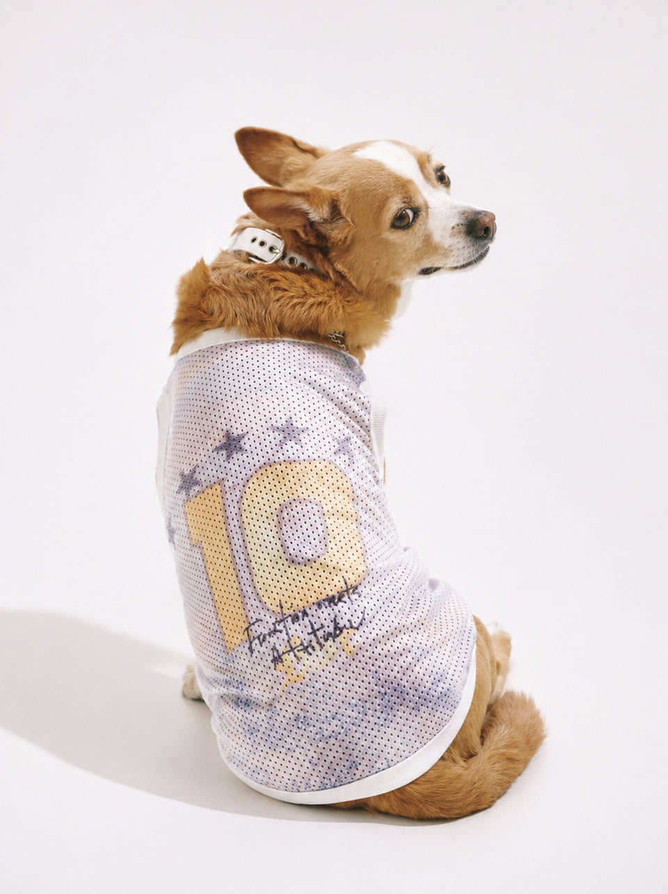 Pawfect Pals SL002-004 product detail image.